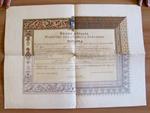 Bozzetto originale REGNO D'ITALIA - DIPLOMA Insegnamento Lingua ARABA - 1912