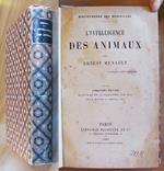 L' INTELLIGENCE DES ANIMAUX - Bibliotheque des Merveilles, 1881