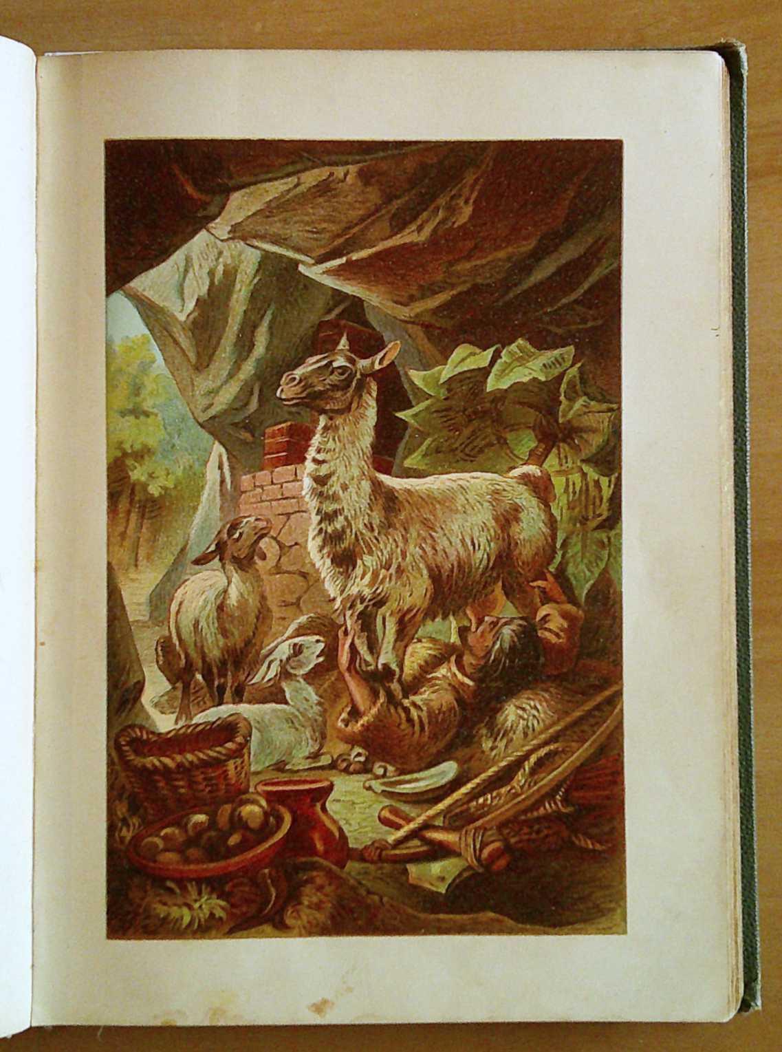 ROBINSON KRUSOE, 1880 circa con 5 Cromolito