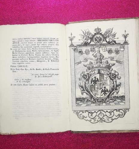 documenti comprovanti i privilegi le prerogative e ragioni casa stampa - 4