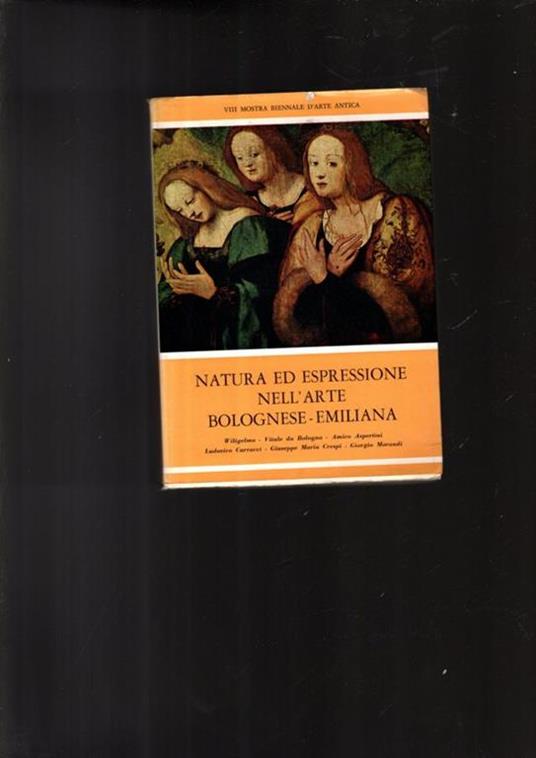 Natura ed espressione nell\'arte bolognese-emiliana - G. Arcangeli - copertina