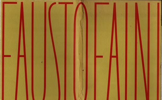 Fausto Faini - Marco Meneguzzo - copertina