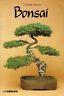 Bonsai