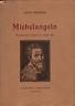 Michelangelo. Ricostruzione storica in cinque atti - Anita Barbiani - copertina