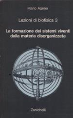 La formazione dei sistemi viventi dalla materia disorganizzata