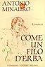 Come un filo d'erba - Antonio Minauro - copertina