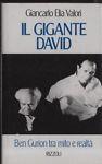 Il gigante David - Aldo Valori - copertina