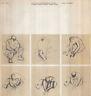 Autografo! Testi critici e documentazione di E. Crispolti, L. Pignotti, C. Vivaldi