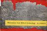 Illustrations from Bibliocal Archaeology - copertina