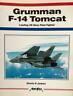 Grumman F-14 Tomcat. Leading US Navy Fleet fighter - copertina