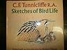 Sketches Of Bird Life - copertina