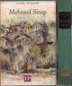 Mehmed Sinap - Ludmil Stoianov - copertina