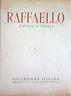 Raffaello. Dipinti su tavola - copertina