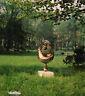 Sculture di Luigi Gheno