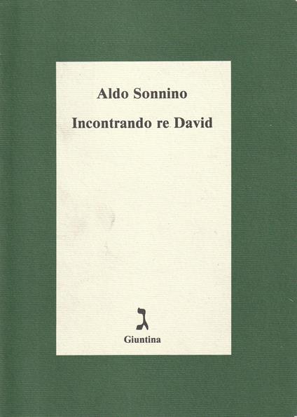 Incontrando re David - Aldo Sonnino - copertina