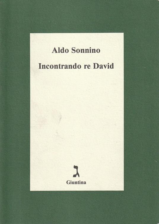 Incontrando re David - Aldo Sonnino - copertina