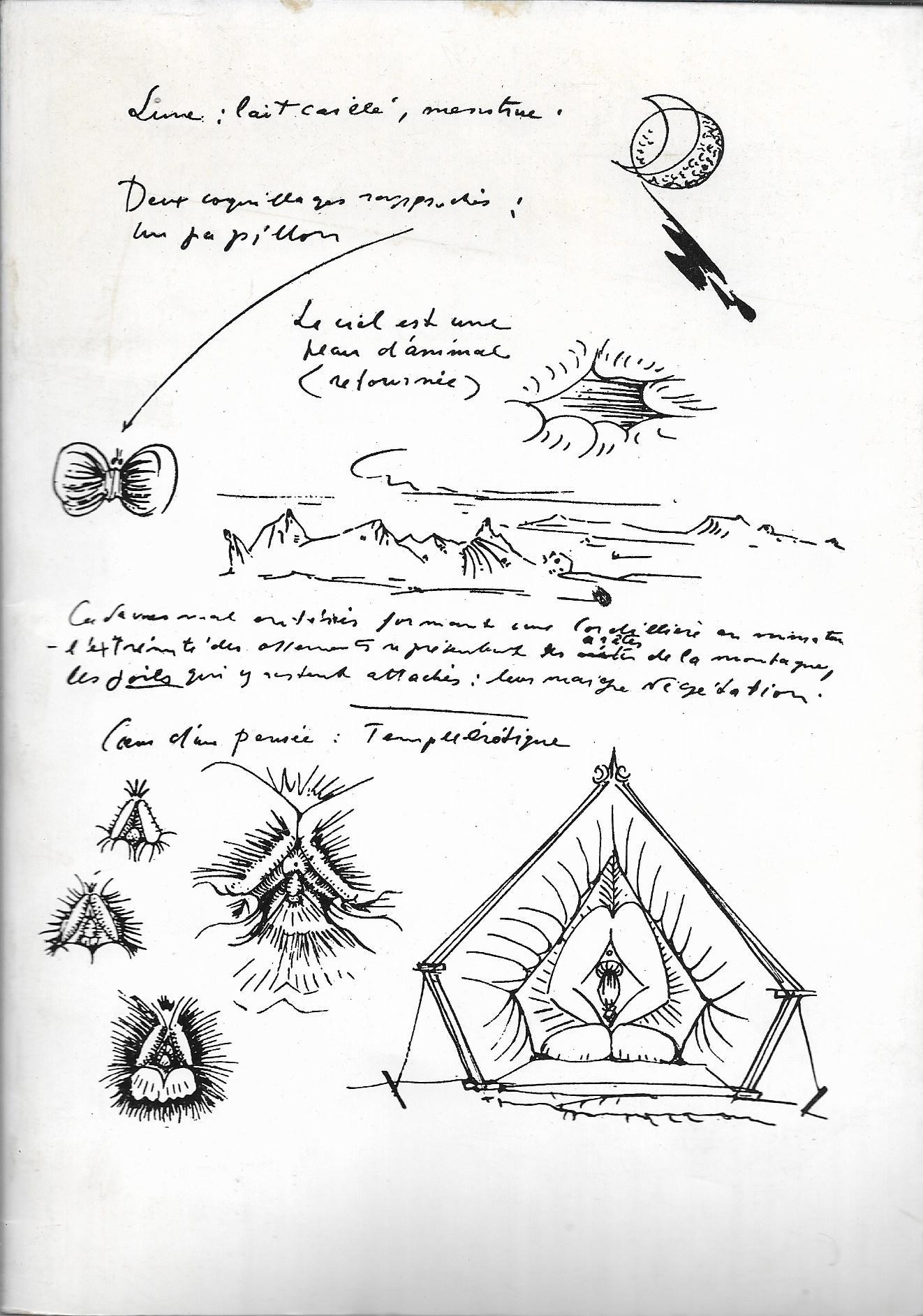 Zefiro libri