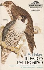 1° edizione ! Il falco pellegrino. Un'appassionante storia naturale raccontata in un diario di grande valore poetico e scientifico