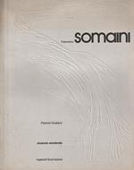 Francesco Somaini. Erosione accelerata