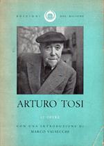 12 opere di Arturo Tosi