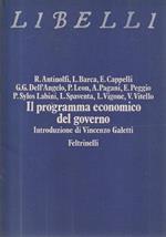 Il programma economico del governo