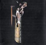 Roberto Capucci al teatro Farnese. Fornari Schianchi, Lucia ( a cura di)