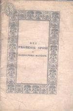 Dei Promessi Sposi di Alessandro Manzoni : primo articolo