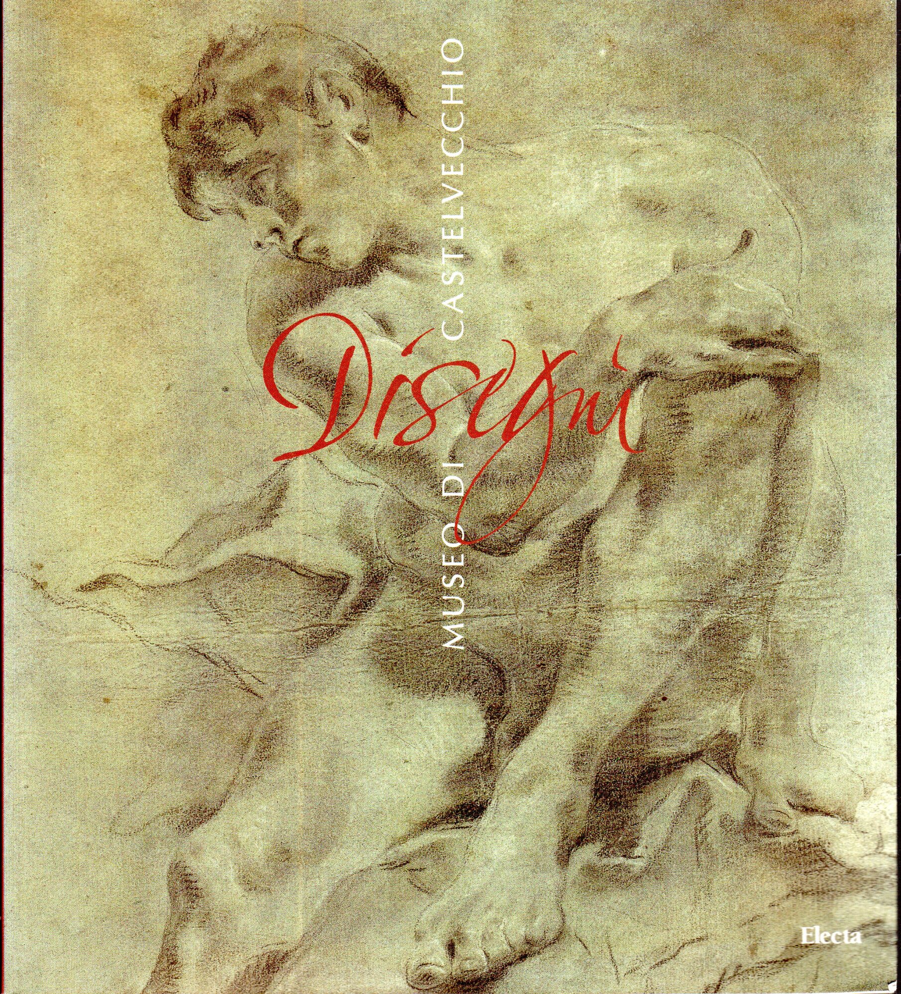 Zefiro libri