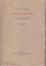 Virgilio minore. Saggio sullo svolgimento della poesia virigliana