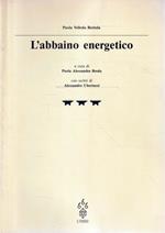 L' abbaino energetico