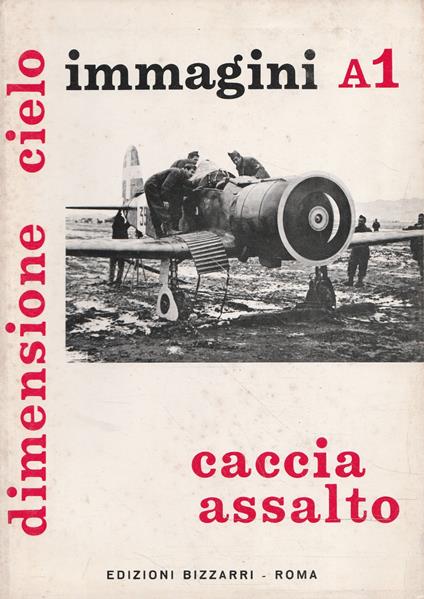 Caccia assalto - Dimensione cielo: aerei italiani nella 2° guerra mondiale - immagini A1 - copertina