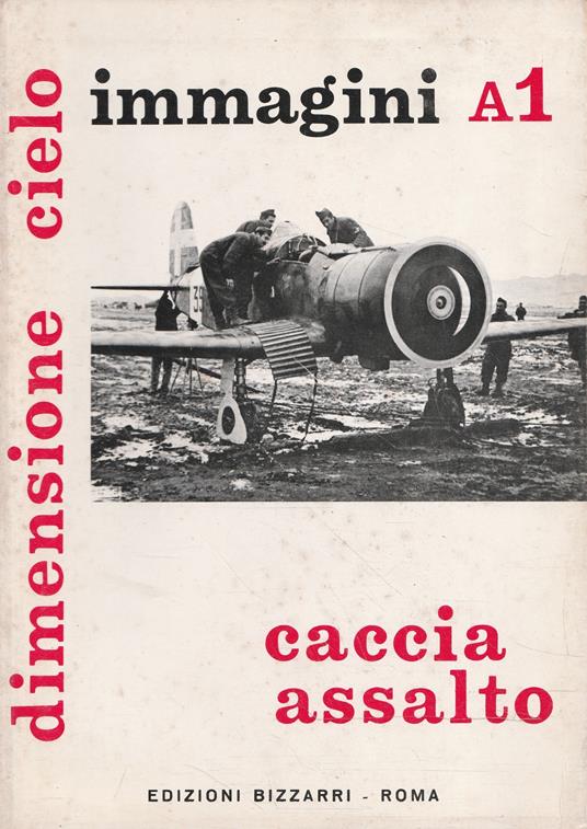 Caccia assalto - Dimensione cielo: aerei italiani nella 2° guerra mondiale - immagini A1 - copertina