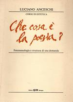 Corso di estetica : Che cos'è la poesia? Fenomenologia e struttura di una domanda