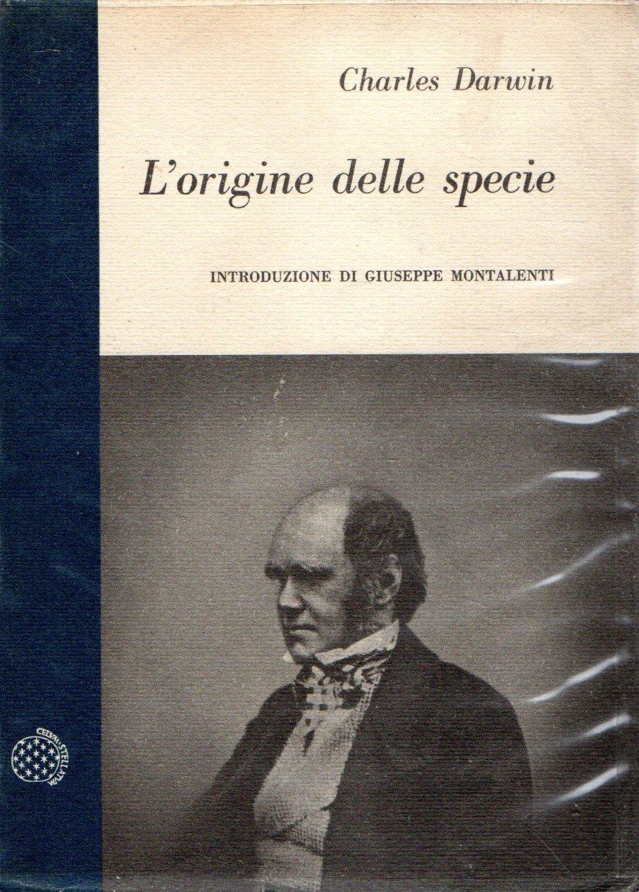 Zefiro libri