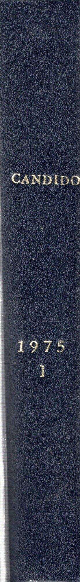 Statuette in bronzo del Rinascimento tedesco - copertina