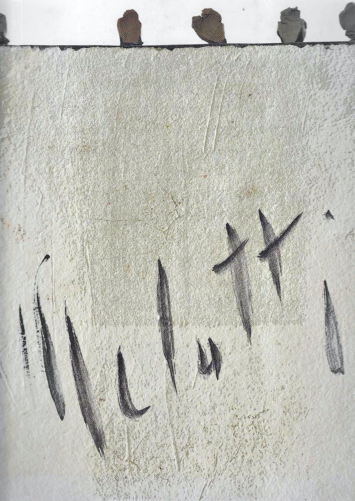 Zefiro libri