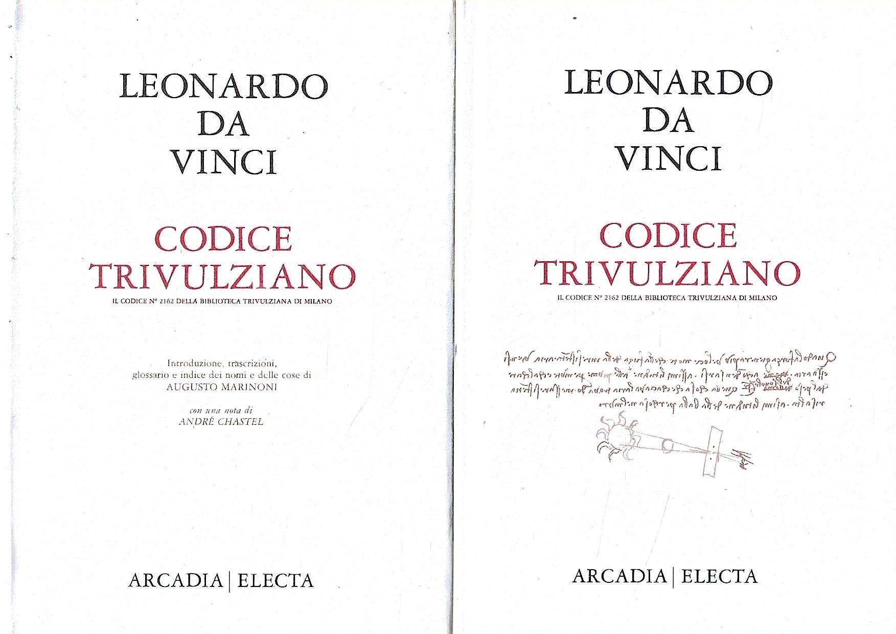 Zefiro libri