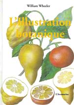 L' Illustration botanique