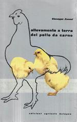 Allevamento a terra del pollo da carne
