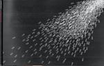 Andrea Galvani. My own private world (Catalogo della Mostra, Bologna 2001)