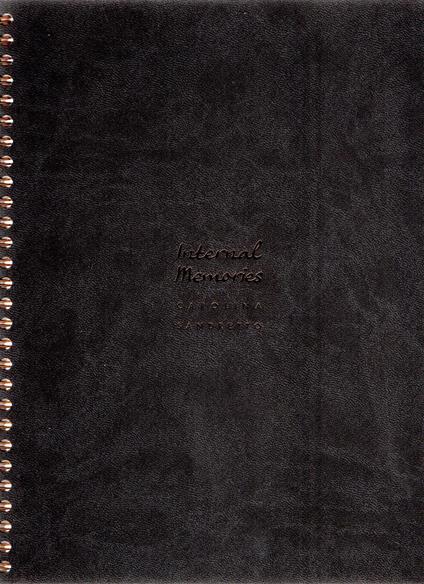 Internal memories - copertina