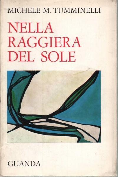 Nella raggiera del sole - copertina