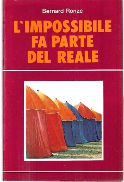 L'impossibile fa parte dale reale - copertina