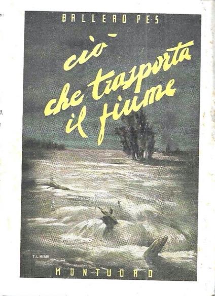 Ciò che trasporta il fiume - copertina