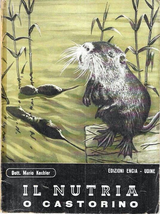 Il nutria o castorino - copertina