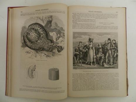 Le Magasin Pittoresque. Publié, depuis sa fondation, sous la direction de M. Edouard Charton. Vingt-Troisième année - Edouard Charton - 4