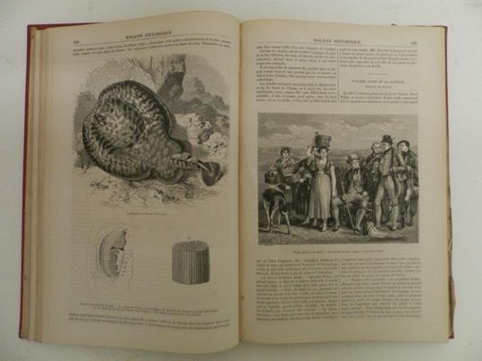 Le Magasin Pittoresque. Publié, depuis sa fondation, sous la direction de M. Edouard Charton. Vingt-Troisième année - Edouard Charton - 4