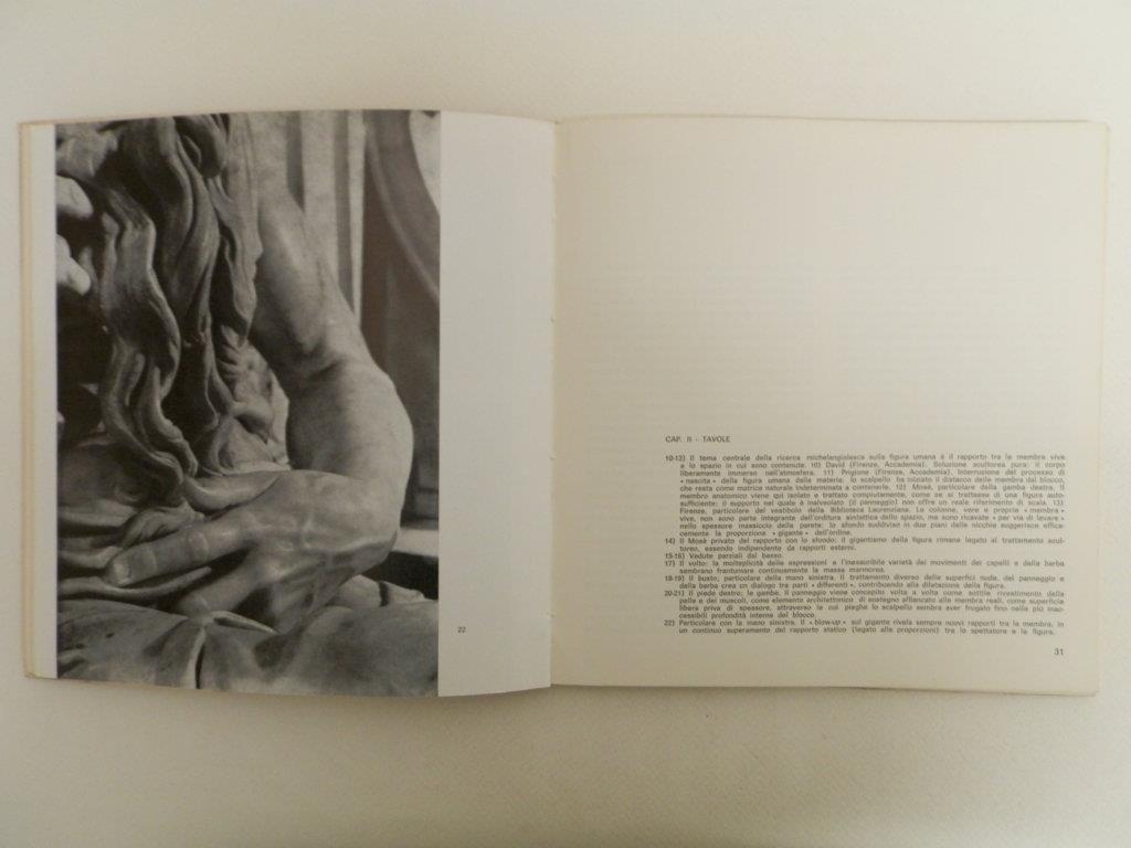 Michelangelo - Mosè. Introduzione ai modelli spaziali nel rinascimento