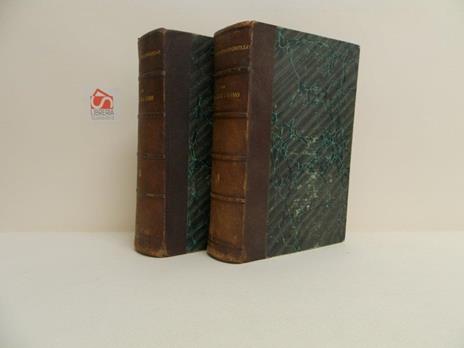 La terra e l'uomo secondo l'opera di Federico di Hellwald esposta da Gustavo Strafforello - copertina