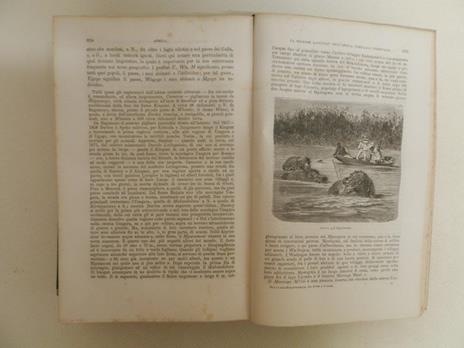 La terra e l'uomo secondo l'opera di Federico di Hellwald esposta da Gustavo Strafforello - 3